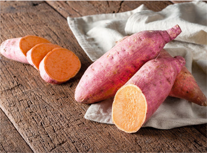 Sweet Potato