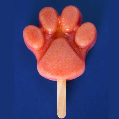 Watermelon & Coconut Pawsicle